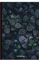 Notebook: Dark Leaves(17 Notebook)