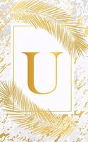U