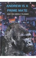 2020 / 2021 Two Year Weekly Planner For Andrew Name - Funny Gorilla Pun Appointment Book Gift - Two-Year Agenda Notebook: Primate Humor - Month Calendar: 2 Years of Monthly Plans - Daily Reminder Monkey Logbook - Day Log For Personal Goals & Schedule