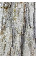2020 Weekly Planner Old Oak Tree Rough Bark Photo 134 Pages: 2020 Planners Calendars Organizers Datebooks Appointment Books Agendas
