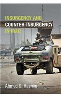 Insurgency and Counter-Insurgency in Iraq