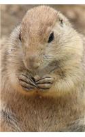 Prairie Dog Notebook