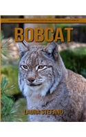 Bobcat