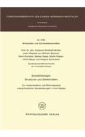 Sozialleistungen: Strukturen Und Selektivitäten