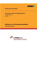 Synthese von Citronensäure-Butylester