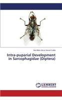 Intra-puparial Development in Sarcophagidae (Diptera)