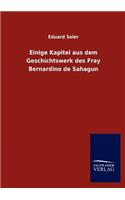 Einige Kapitel aus dem Geschichtswerk des Fray Bernardino de Sahagun