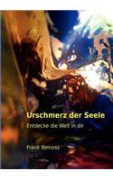 Urschmerz der Seele: Entdecke die Welt in dir(German)