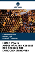 Honig Vca in Ausgewählten Kebeles Des Bezirks Abe Dongoro, Äthiopien