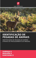 Identificação de Pegadas de Animais