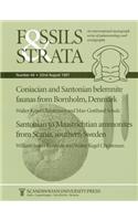 Coniacian and Santonian Belemnite Faunas from Bornholm, Denmark / Santonian to Maastrichtian Ammonites from Scania, Southern Sweden