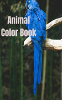 Animal color book