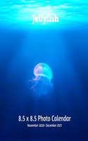 Jellyfish 8.5 X 8.5 Calendar November 2020 -December 2021