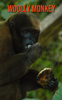 Woolly Monkey