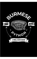 Burmese Python Snake Keeper A Real Man's Snake