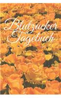 Blutzucker Tagebuch: Mein Diabetiker Tagebuch kompakt.