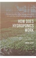 How Does Hydroponics Work