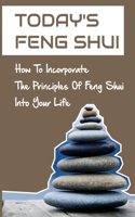 Today's Feng Shui: How To Incorporate The Principles Of Feng Shui Into Your Life: Feng Shui Map