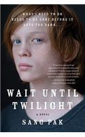 Wait Until Twilight