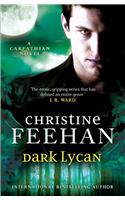 Dark Lycan: Number 24 in series