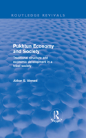 Pukhtun Economy and Society (Routledge Revivals)