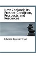 New Zealand: Its Present Condition, Prospects and Resources (Large Print Edition)