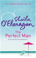 The Perfect Man