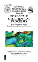 Pore Scale Geochemical Processes