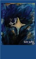 Star Gazer