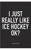 I Just Really Like Ice Hockey Ok?: A 6x9 Inch Matte Softcover Notebook Diary With 120 Blank Lined Pages And A Funny Skating Sports Fanatic Cover Slogan