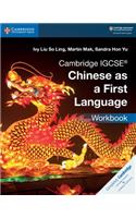 Cambridge Igcse(r) Chinese as a First Language Workbook
