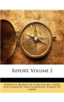 Report, Volume 2