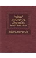 Catalogue of Auriculidae, Proserpinidae, and Truncatellidae in the Collection of the British Museum