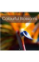 Colourful Blossoms 2018: Beautiful and Colourful Blossoms and Flowers(Calvendo Nature)
