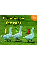 Counting at the Park