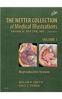 The Netter Collection of Medical Illustrations: Reproductive System
