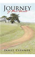 Journey of Past Secrets: (English)