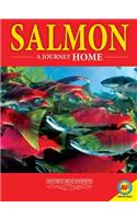 Salmon: A Journey Home: A Journey Home