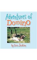Adventures of Domino: A True Story(English)