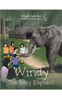 Windy the Baby Elephant