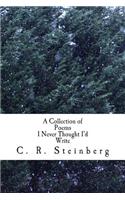 Collection of Poems I Never Thought I'd Write