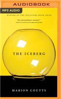 Iceberg