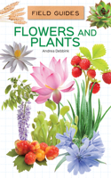 Flowers and Plants