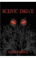 Scenic Drive