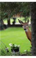 Such a Cute Deer Peeking Around a Tree in the Park Journal