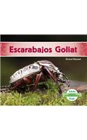 Escarabajos Goliat/ Goliath Beetles: (Especies Extraordinarias/ Super Species)