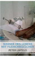 Wasser Des Lebens Mit Fleischballchen