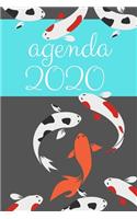 Agenda 2020