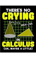 There's No Crying In Calculus (OK, Maybe A Little)