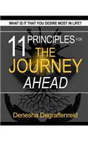 11 Principles for the Journey Ahead